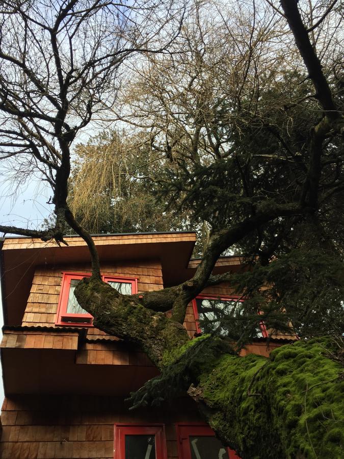 Almabosque Cabanas Пуэрто-Варас Экстерьер фото